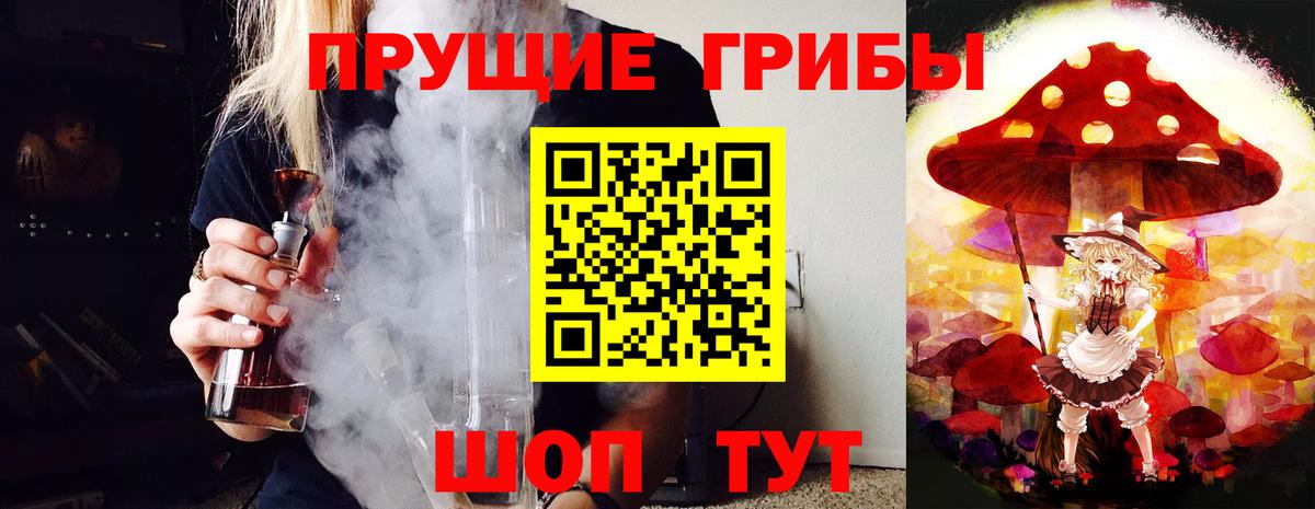 Псилоцибиновые грибы прущие грибы  Вход с VPN  купить   Улан-Удэ 